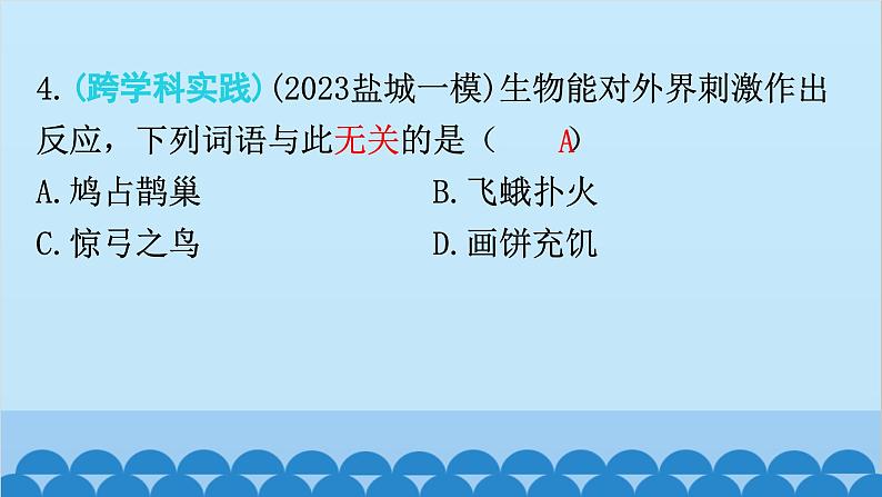 2024年中考生物复习 专题四 生物与环境课件第8页