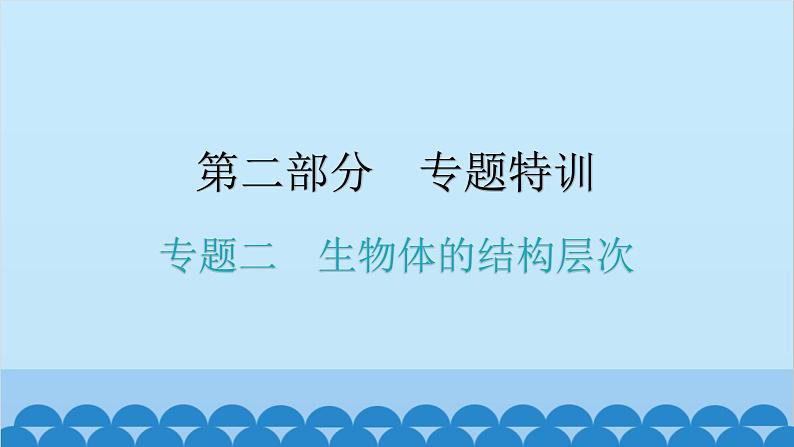 2024年中考生物复习 专题二 生物体的结构层次课件01