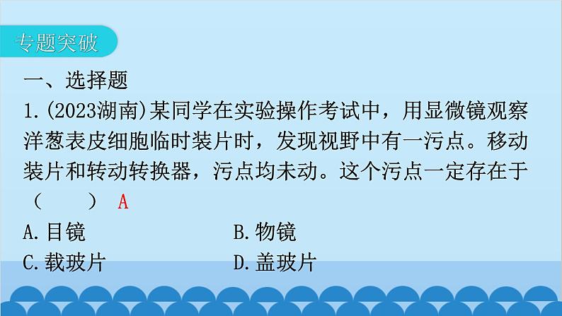 2024年中考生物复习 专题二 生物体的结构层次课件05