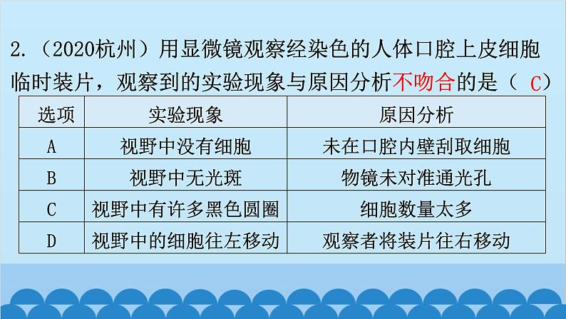 2024年中考生物复习 专题二 生物体的结构层次课件06