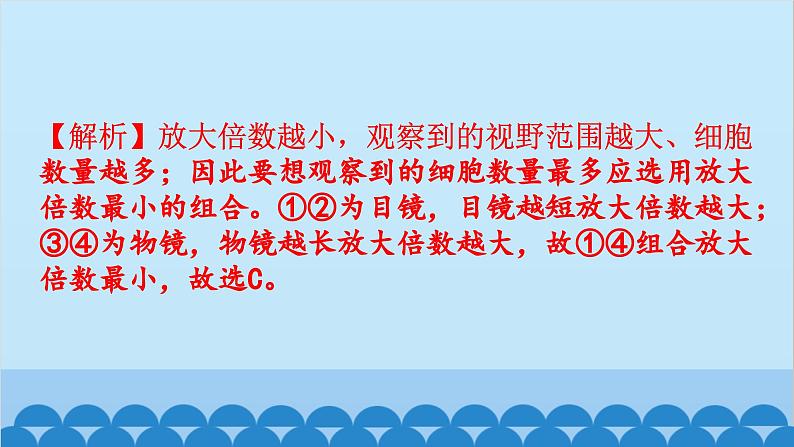 2024年中考生物复习 专题二 生物体的结构层次课件08