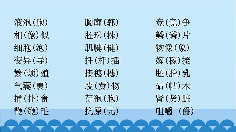 2024年中考生物复习 初中生物易错易混字词汇总(括号内为错字）课件第2页