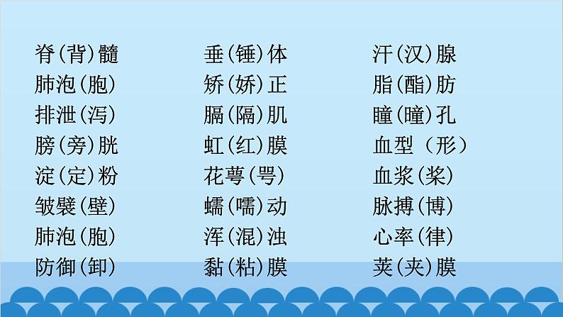 2024年中考生物复习 初中生物易错易混字词汇总(括号内为错字）课件第3页