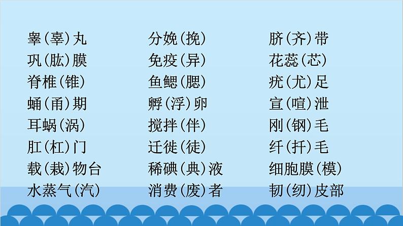 2024年中考生物复习 初中生物易错易混字词汇总(括号内为错字）课件第4页