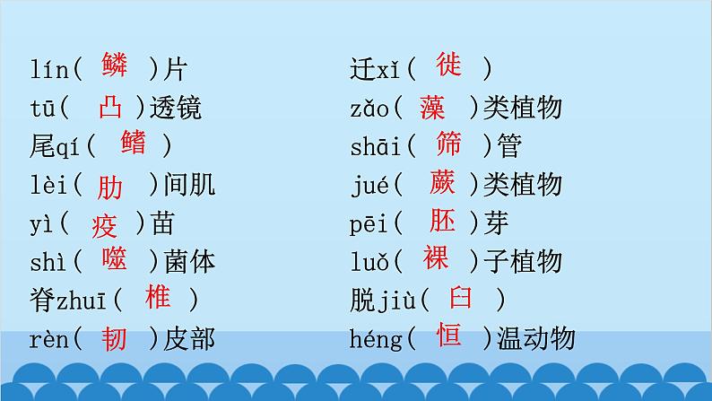 2024年中考生物复习 初中生物易错易混字词专项训练课件第4页