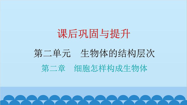 2024年中考生物一轮复习 第二单元第二章 细胞怎样构成生物体课件第1页