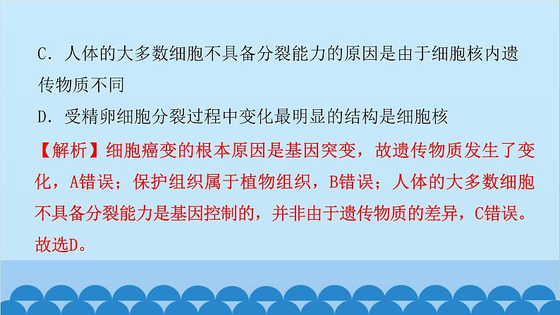 2024年中考生物一轮复习 第二单元第二章 细胞怎样构成生物体课件第6页