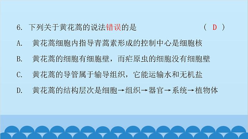 2024年中考生物一轮复习 第二单元第二章 细胞怎样构成生物体课件第8页