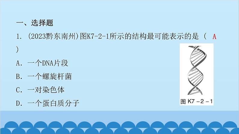 2024年中考生物一轮复习 第七单元第二章 生物的遗传与变异课件第2页