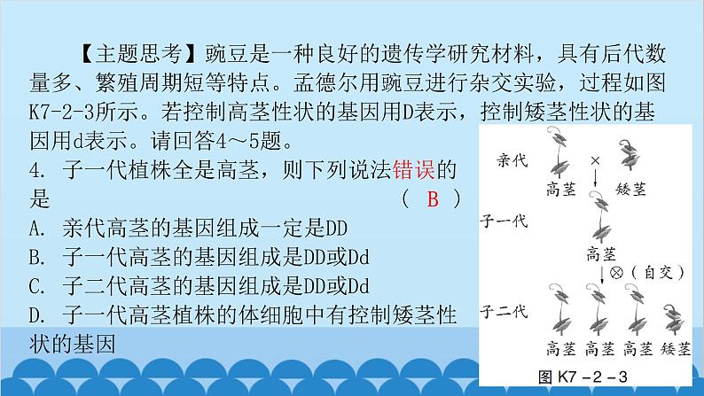 2024年中考生物一轮复习 第七单元第二章 生物的遗传与变异课件第6页