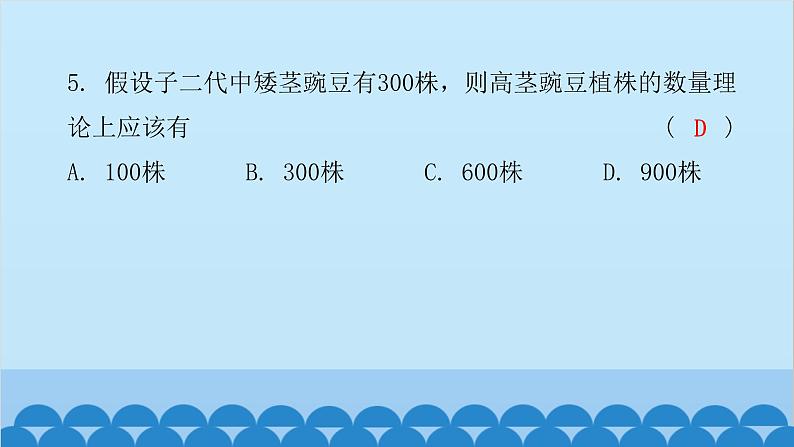 2024年中考生物一轮复习 第七单元第二章 生物的遗传与变异课件第7页