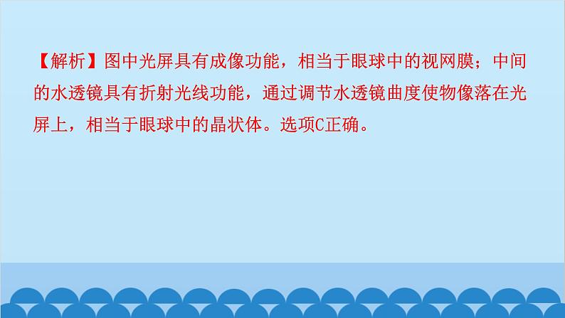 2024年中考生物一轮复习 第四单元第六章 人体生命活动的调节 第七章 人类活动对生物圈的影响课件03