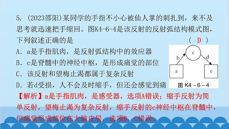 2024年中考生物一轮复习 第四单元第六章 人体生命活动的调节 第七章 人类活动对生物圈的影响课件07