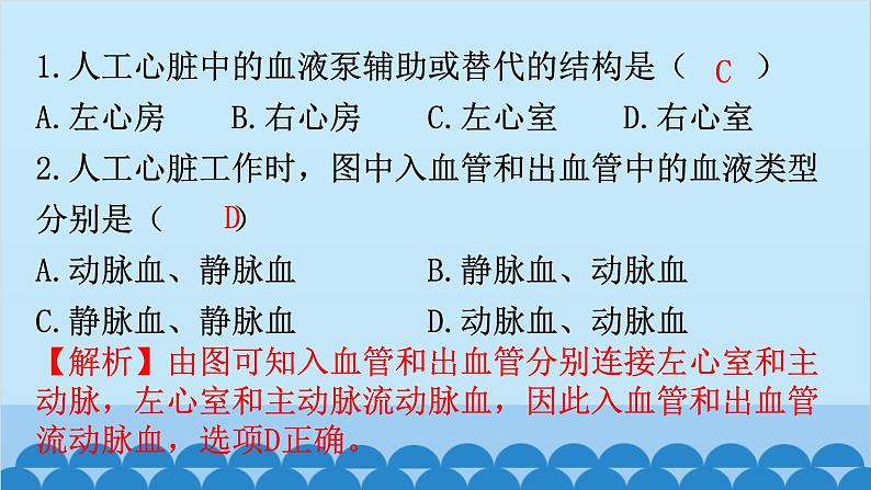 2024年中考生物复习 周测卷八（第四单元第四章3、4节和第五章）课件第3页