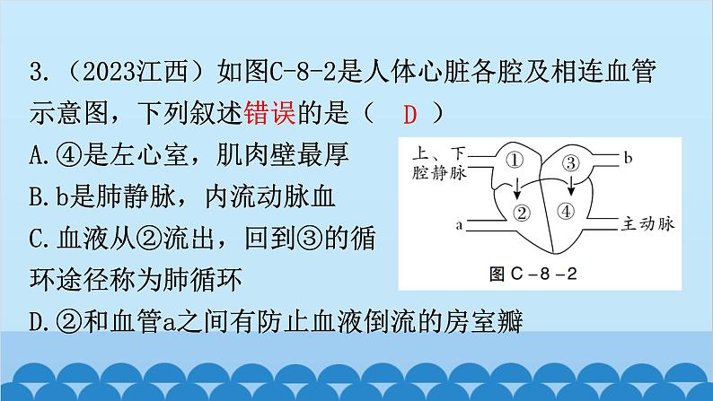 2024年中考生物复习 周测卷八（第四单元第四章3、4节和第五章）课件第4页