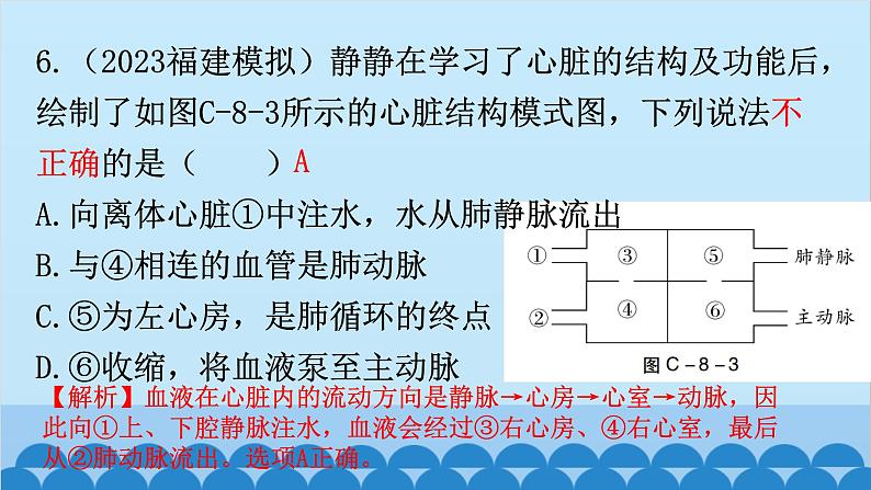 2024年中考生物复习 周测卷八（第四单元第四章3、4节和第五章）课件第7页