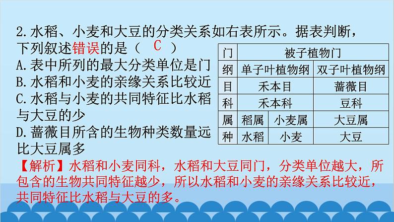 2024年中考生物复习 周测卷十二（第六单元）课件第3页