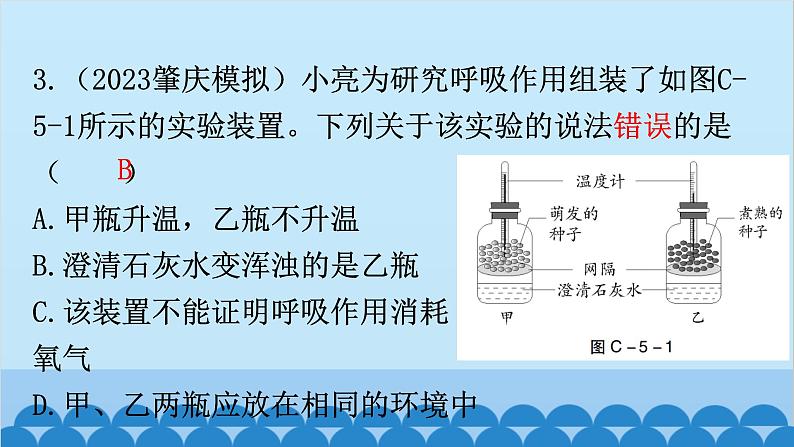 2024年中考生物复习 周测卷五（第三单元第五、六章）课件第4页