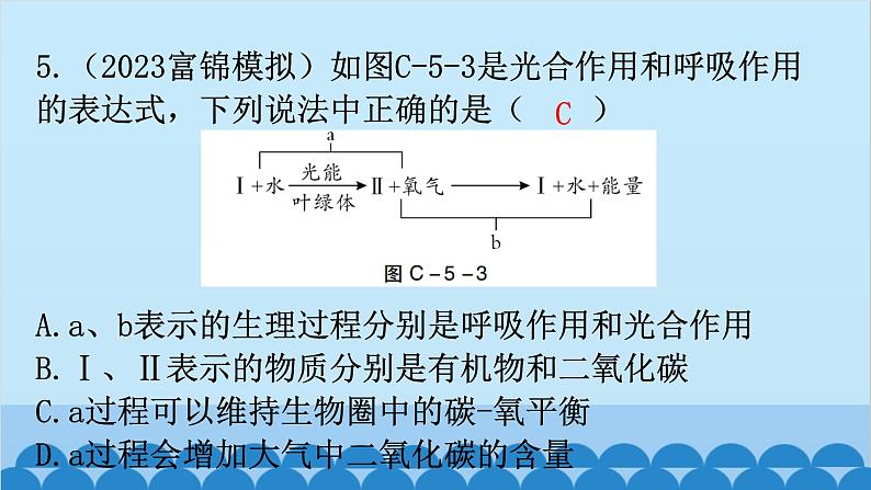 2024年中考生物复习 周测卷五（第三单元第五、六章）课件第6页