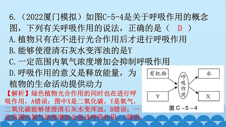 2024年中考生物复习 周测卷五（第三单元第五、六章）课件第7页