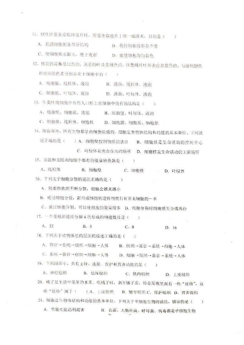 湖南省衡阳市耒阳市正源学校2023-2024学年七年级上学期期中生物试题第2页