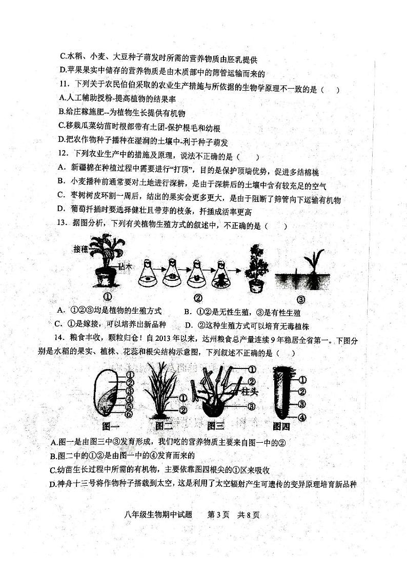 山东省济宁市微山县2023--2024学年八年级上学期期中考试生物试题第3页