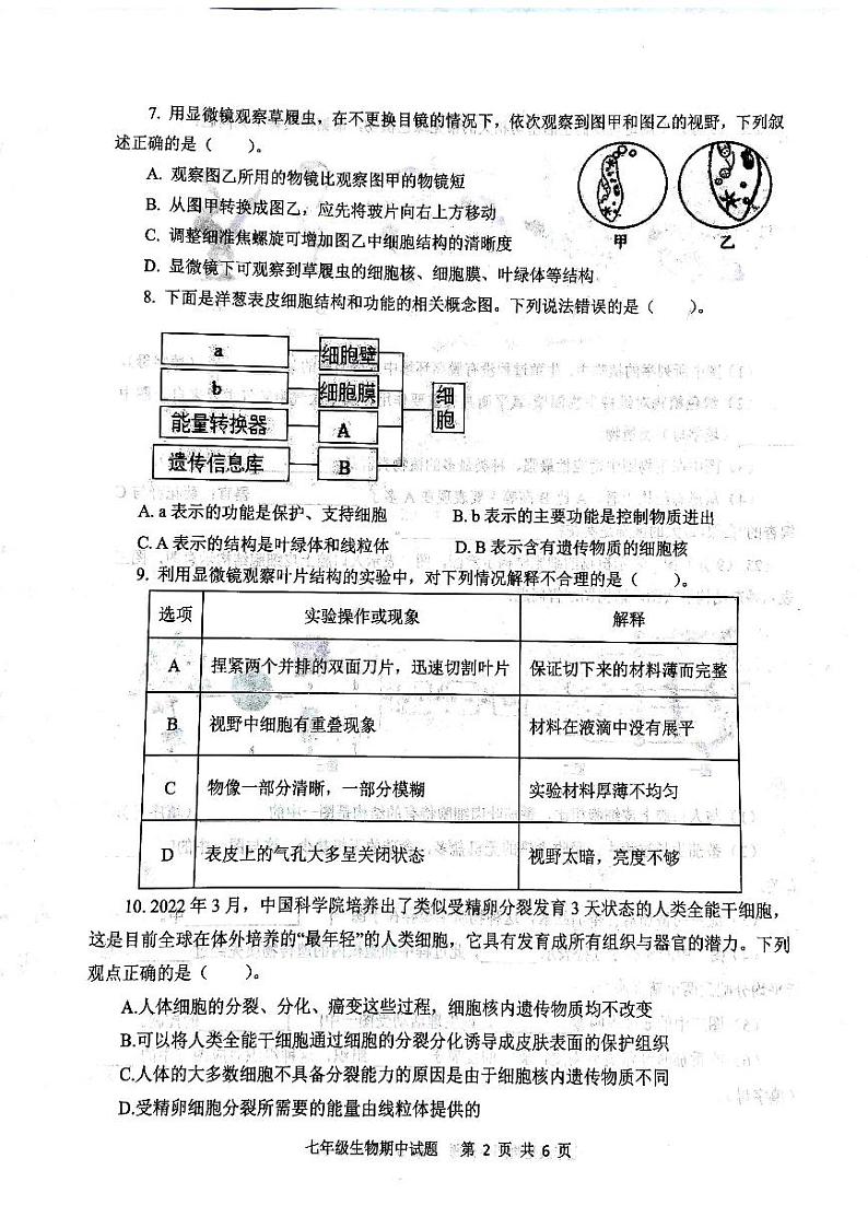 山东省济宁市微山县2023--2024学年七年级上学期期中考试生物试题第2页