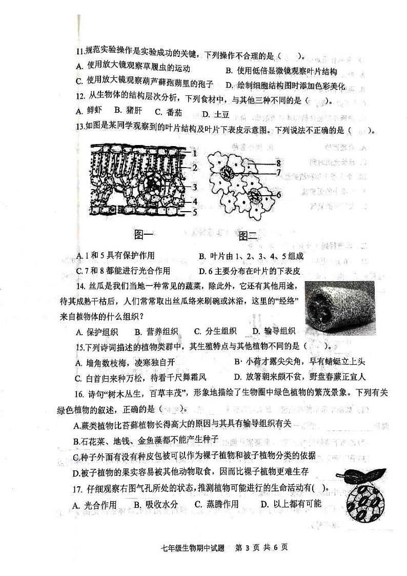 山东省济宁市微山县2023--2024学年七年级上学期期中考试生物试题第3页