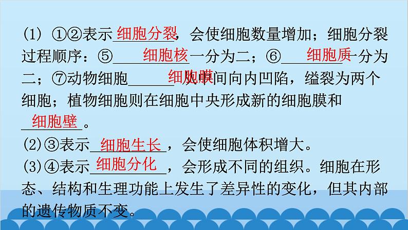 2. 第二章 细胞怎样构成生物体（图解手册）第3页