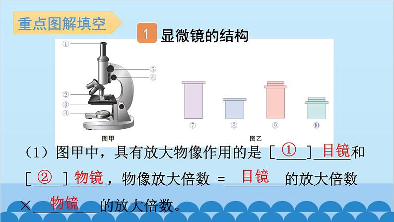 1. 第一章 细胞是生命活动的基本单位（图解手册）第2页