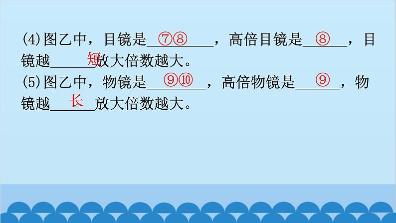 1. 第一章 细胞是生命活动的基本单位（图解手册）第4页