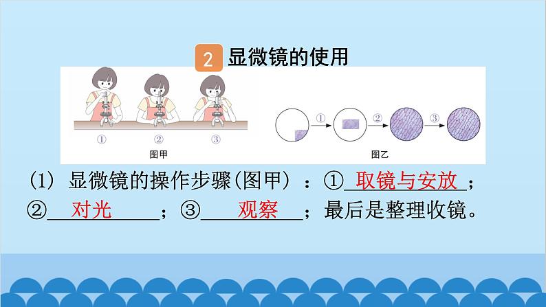 1. 第一章 细胞是生命活动的基本单位（图解手册）第5页