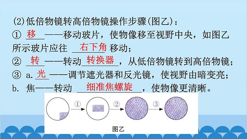 1. 第一章 细胞是生命活动的基本单位（图解手册）第6页