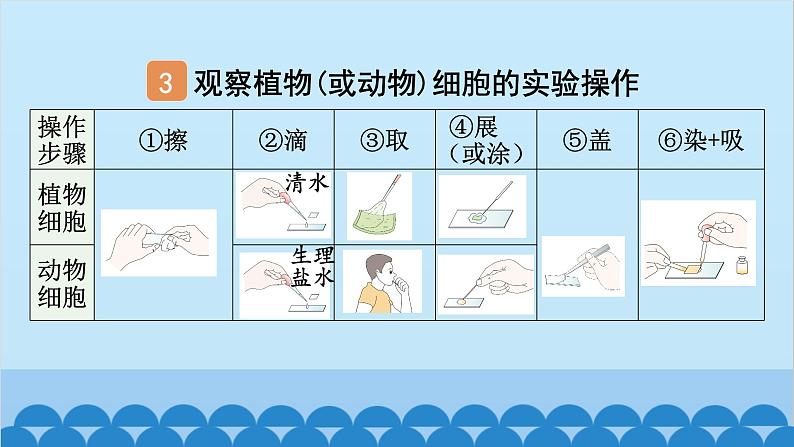 1. 第一章 细胞是生命活动的基本单位（图解手册）第7页