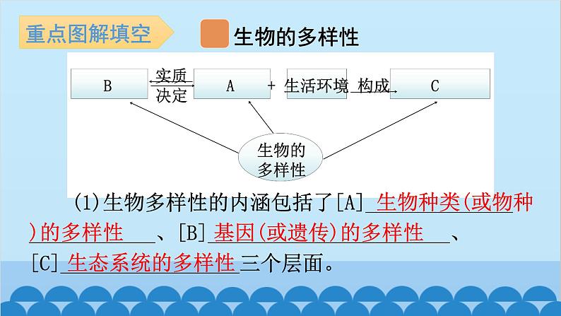 2024年中考生物复习 第六单元 生物的多样性及其保护课件02