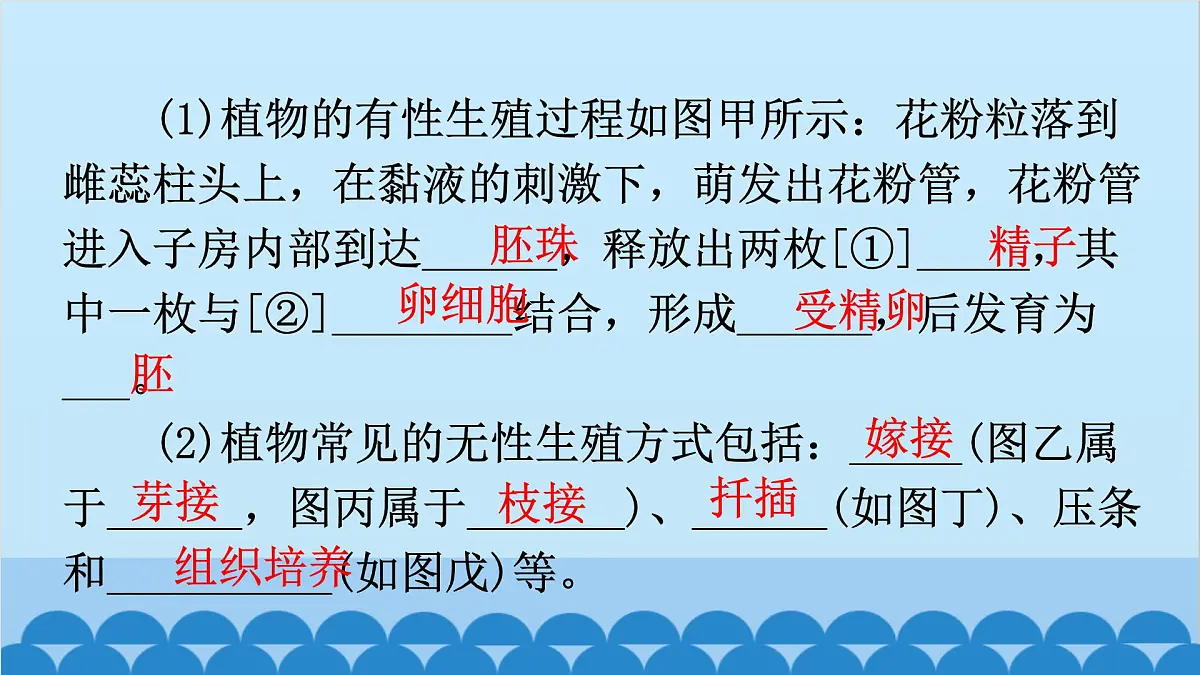 1. 第一章 生物的生殖和发育（图解手册）第3页