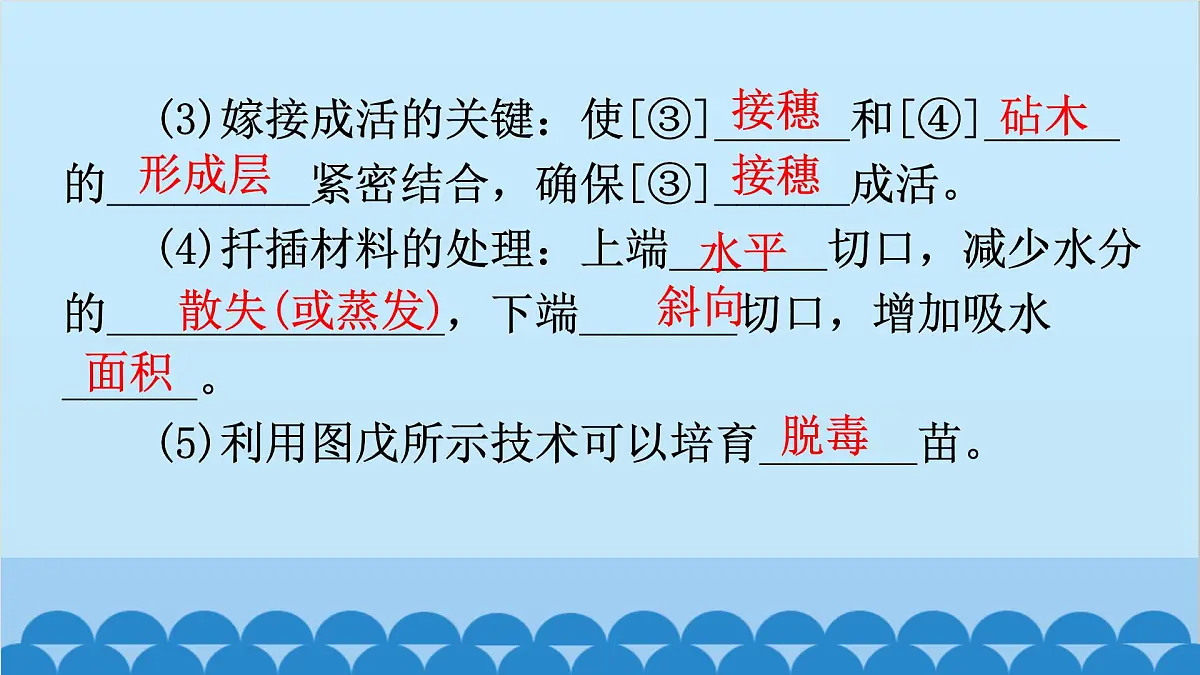 1. 第一章 生物的生殖和发育（图解手册）第4页