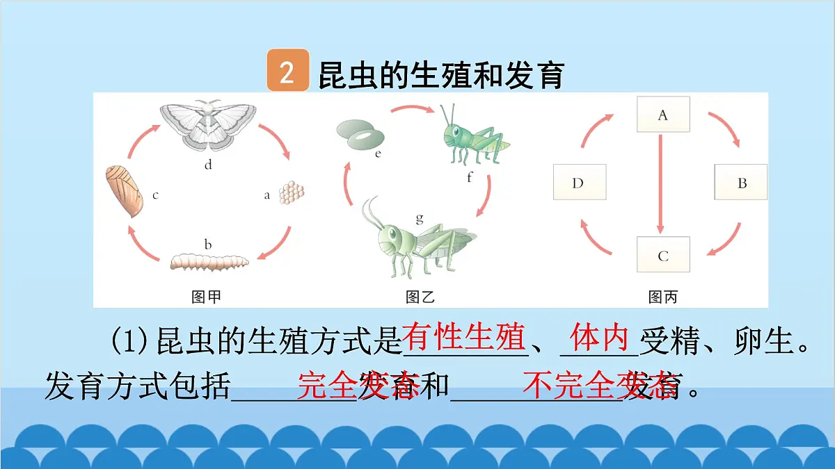 1. 第一章 生物的生殖和发育（图解手册）第5页