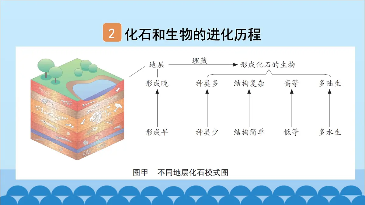 3. 第三章 生命起源和生物进化（图解手册）第4页