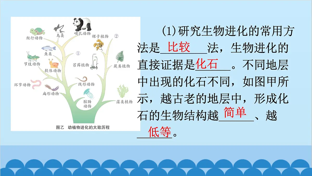 3. 第三章 生命起源和生物进化（图解手册）第5页