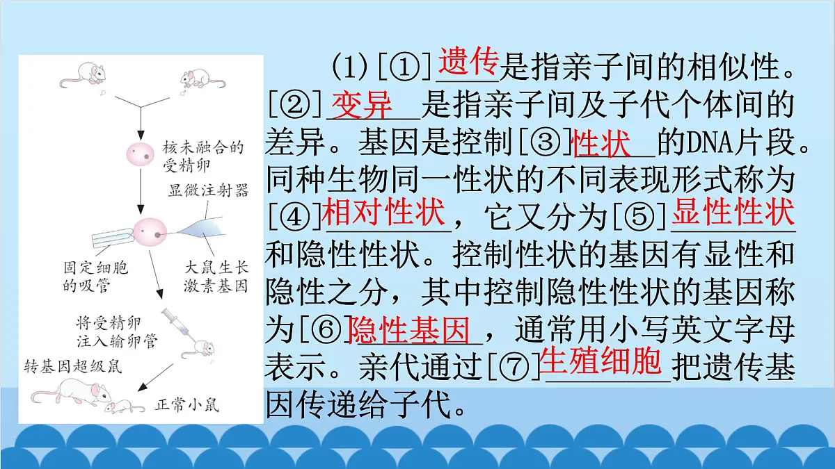 2. 第二章 生物的遗传与变异（图解手册）第3页