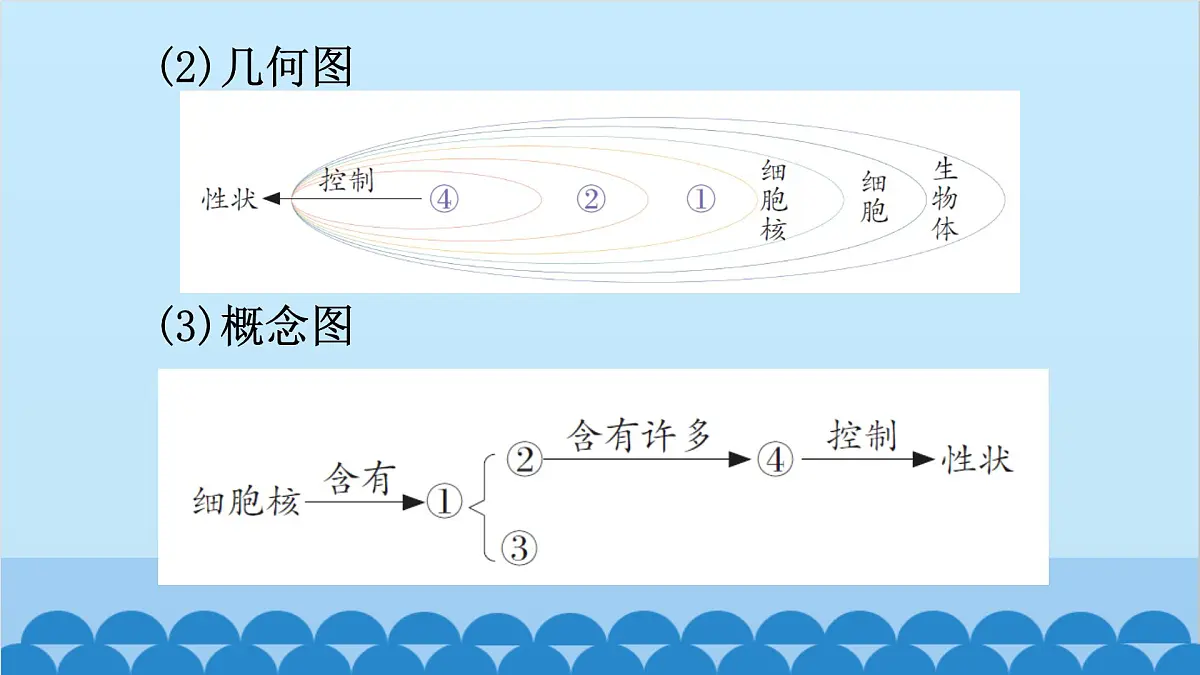 2. 第二章 生物的遗传与变异（图解手册）第6页