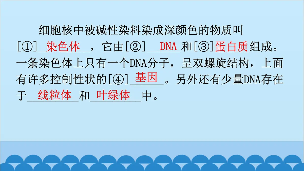 2. 第二章 生物的遗传与变异（图解手册）第7页