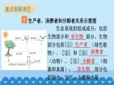 2024年中考生物复习 第一单元 生物和生物圈课件