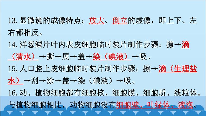 2024年中考生物复习 第一部分  中考生物必背核心知识点120条课件第5页