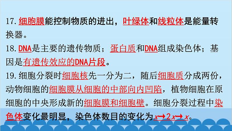 2024年中考生物复习 第一部分  中考生物必背核心知识点120条课件第6页