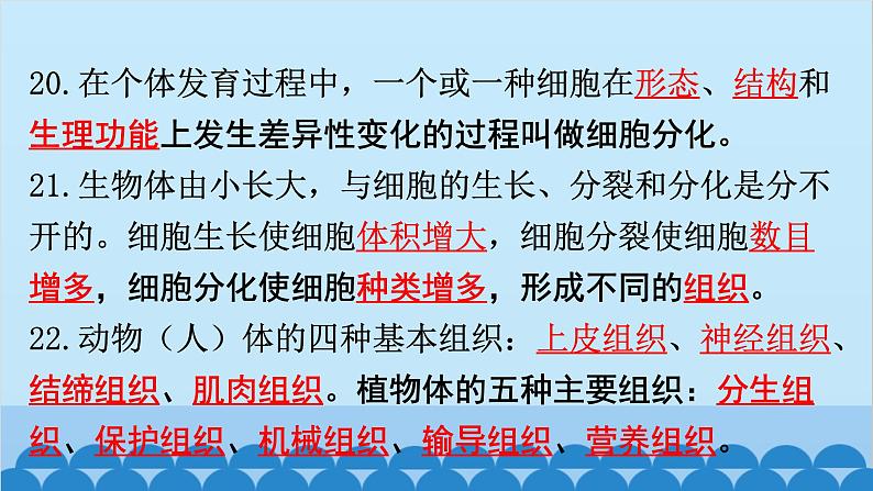 2024年中考生物复习 第一部分  中考生物必背核心知识点120条课件第7页