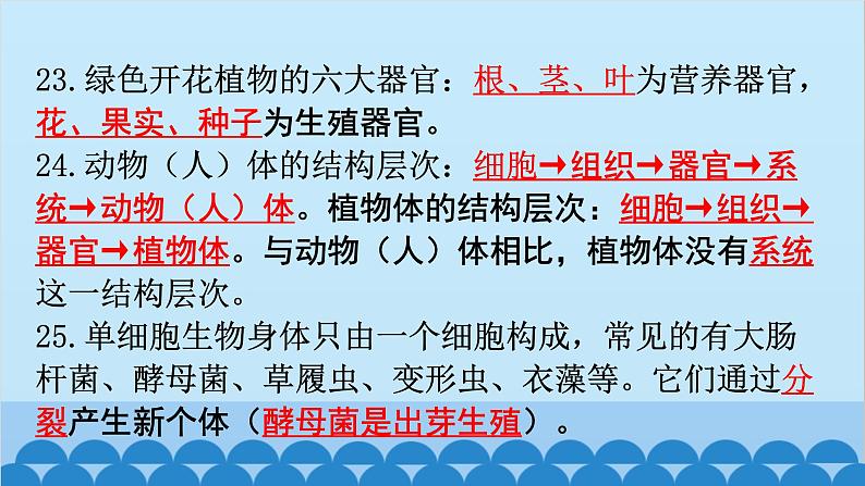 2024年中考生物复习 第一部分  中考生物必背核心知识点120条课件第8页