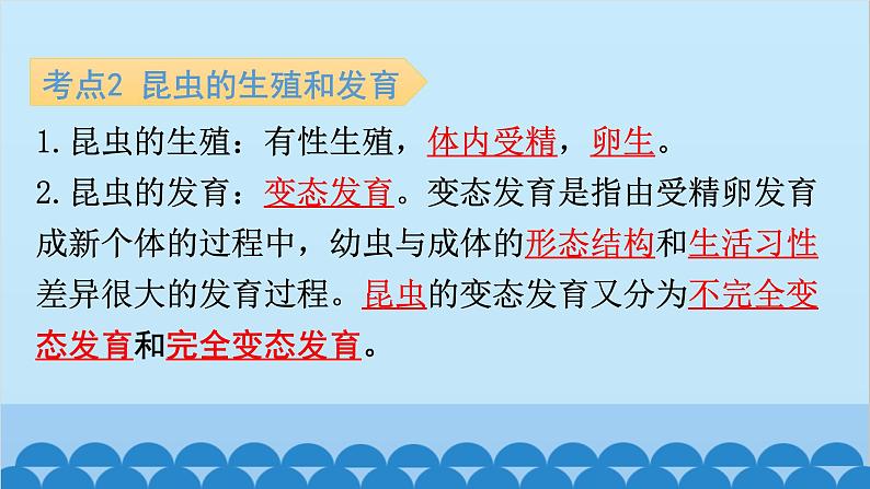 2024年中考生物复习 第七单元 生物圈中生命的延续和发展课件06