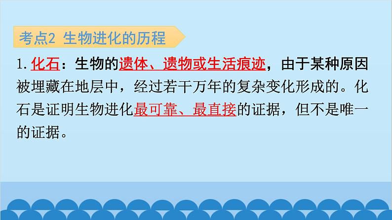 2024年中考生物复习 第七单元 生物圈中生命的延续和发展课件04